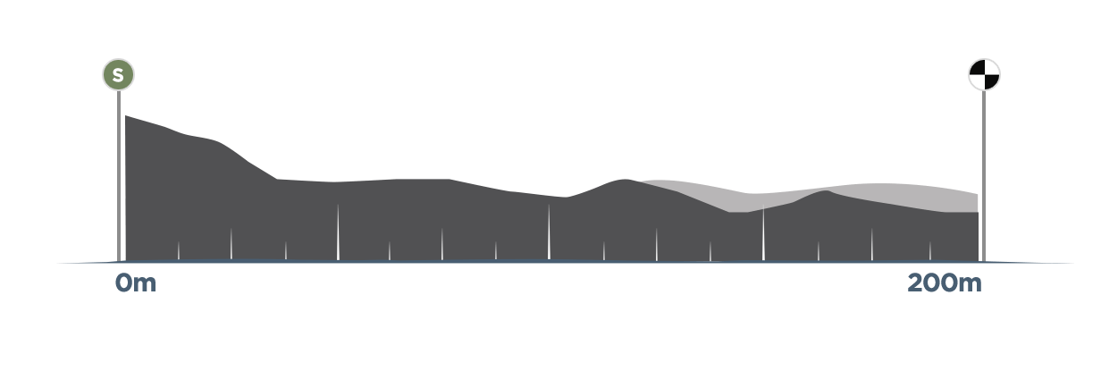 Double Trouble Elevation Graphic 